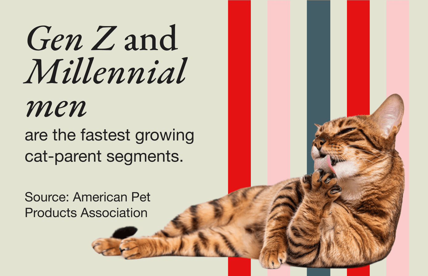 Gen Z and Millennial men are the fastest growing cat-parent segments. Source: American Pet Products Association